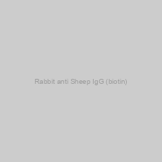 Image of Rabbit anti Sheep IgG (biotin)